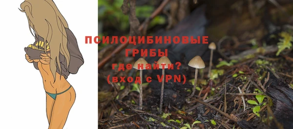 метамфетамин Покачи