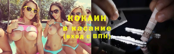 сатива Фурманов