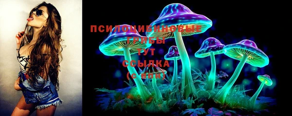 метамфетамин Покачи