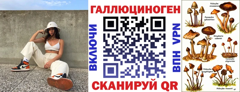 kraken онион  Аркадак  Псилоцибиновые грибы мухоморы 
